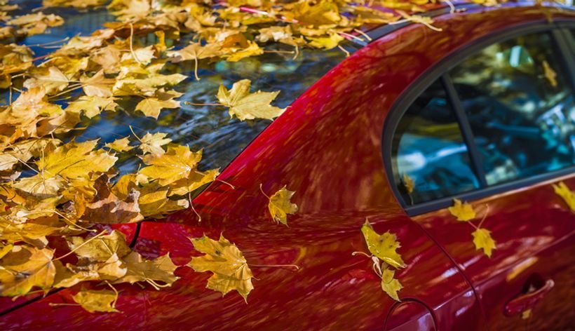 blog-header-image