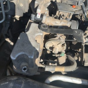 Top of the engine showing valve covers and ignition components