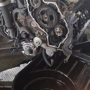 Engine on the floor with the timing cover opened for inspection